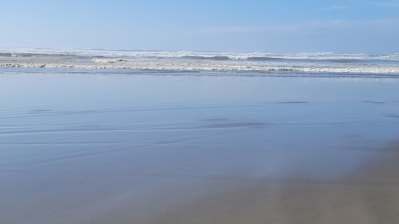 Photo of Others in Long Beach
