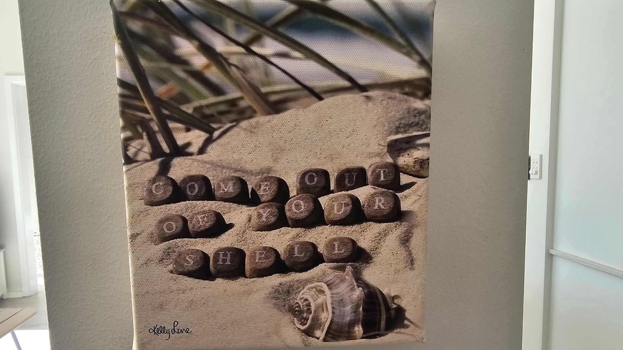 Photo of Others in Mollymook