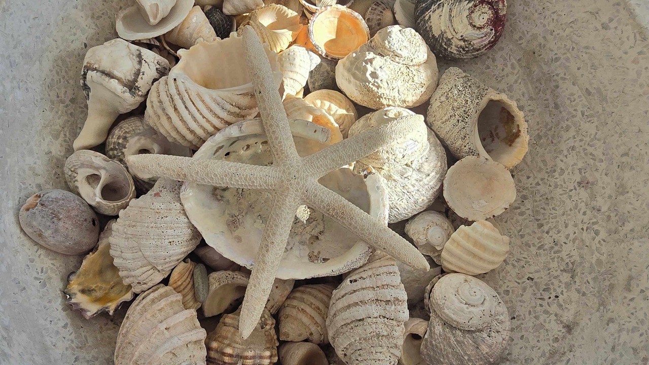 Photo of Others in Mollymook