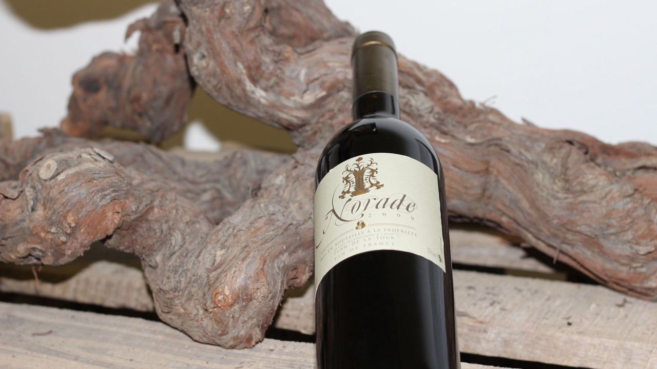 Photo of Others in Plan-de-la-Tour