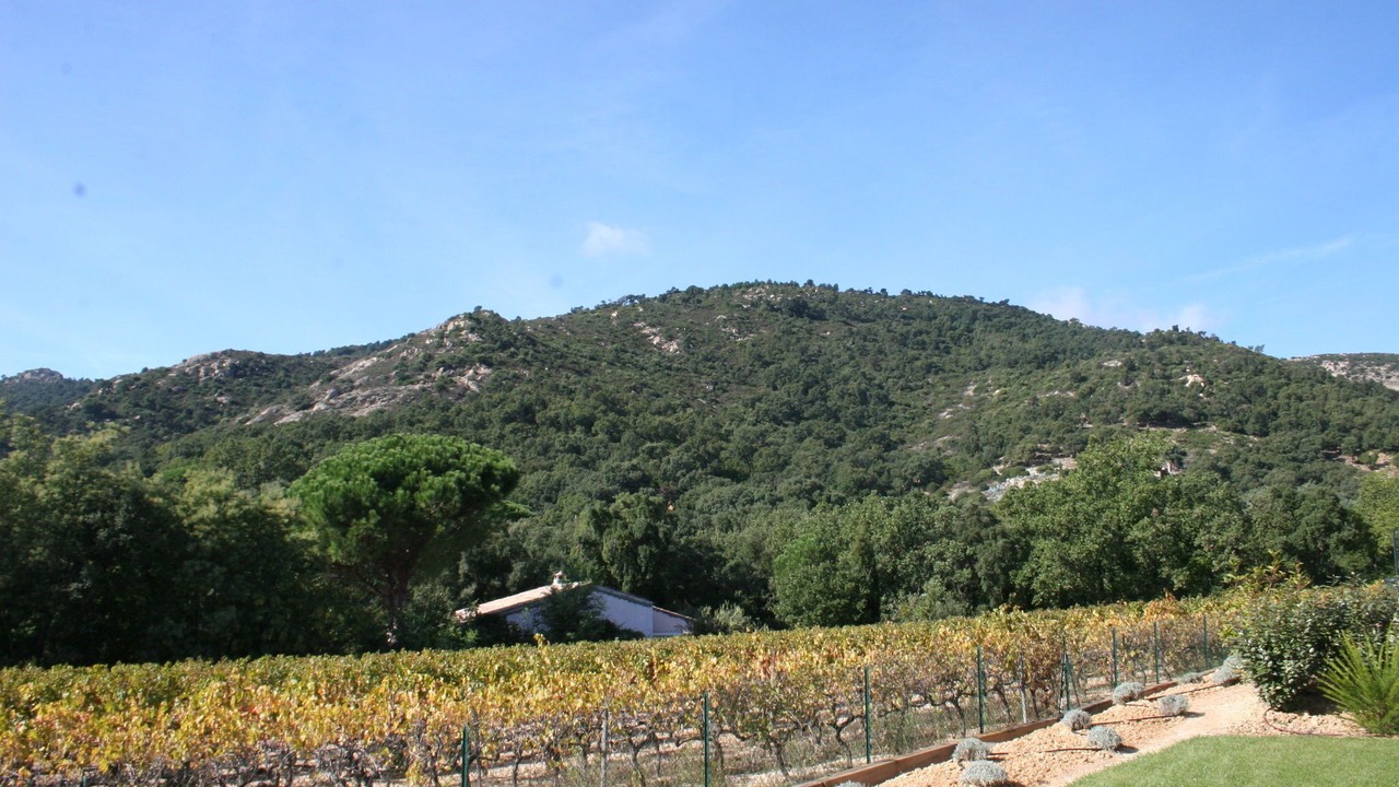 Photo of Others in Plan-de-la-Tour