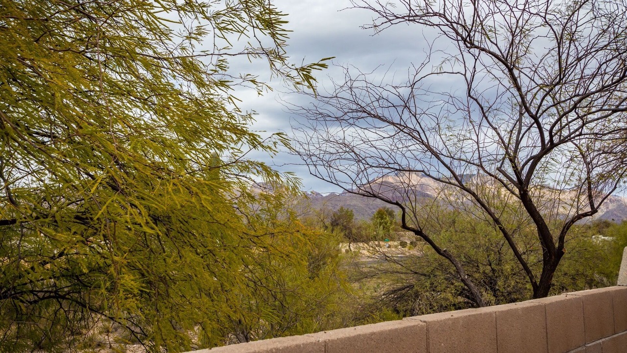 Photo of Outdoor in Casas Adobes