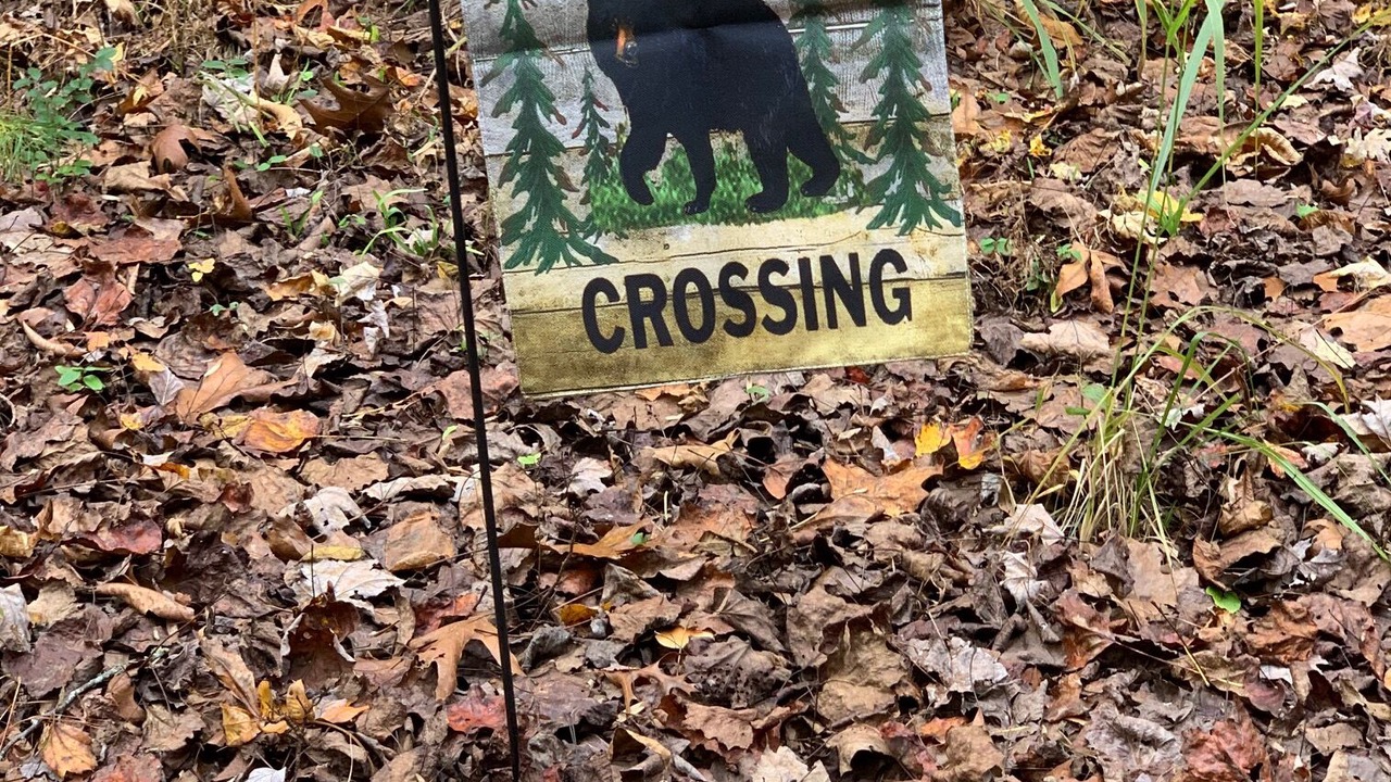 Photo of Outdoor in Murphy
