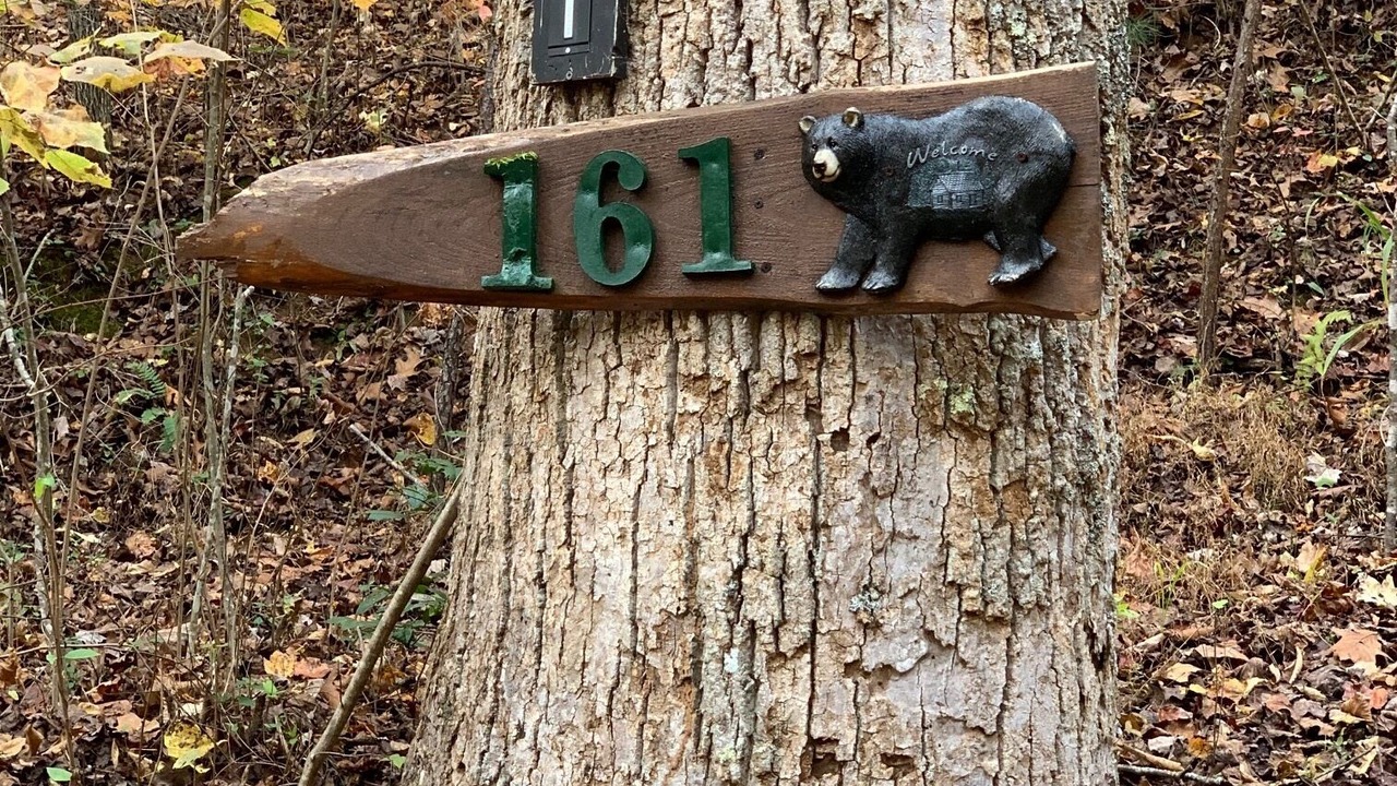 Photo of Outdoor in Murphy