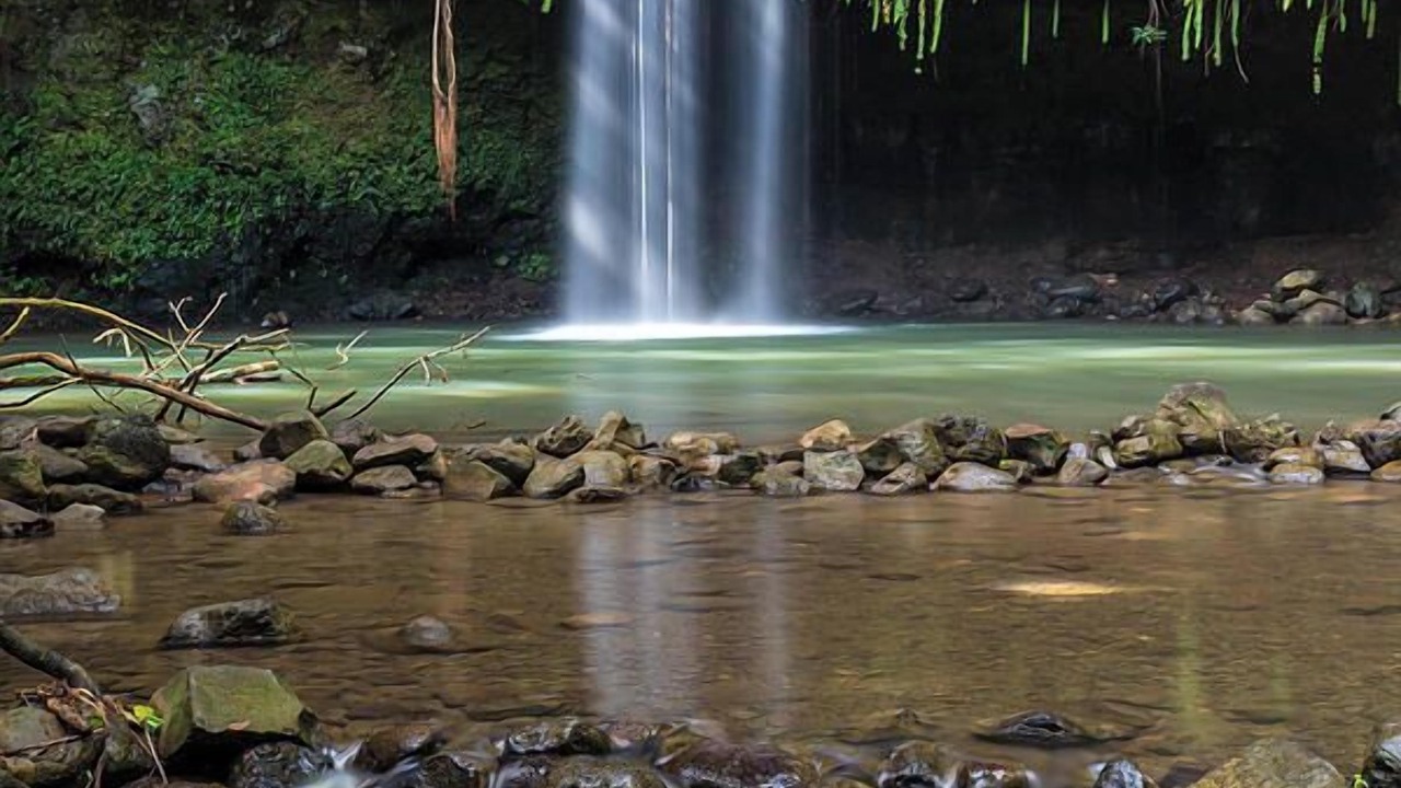 Photo of Others in Pauwela