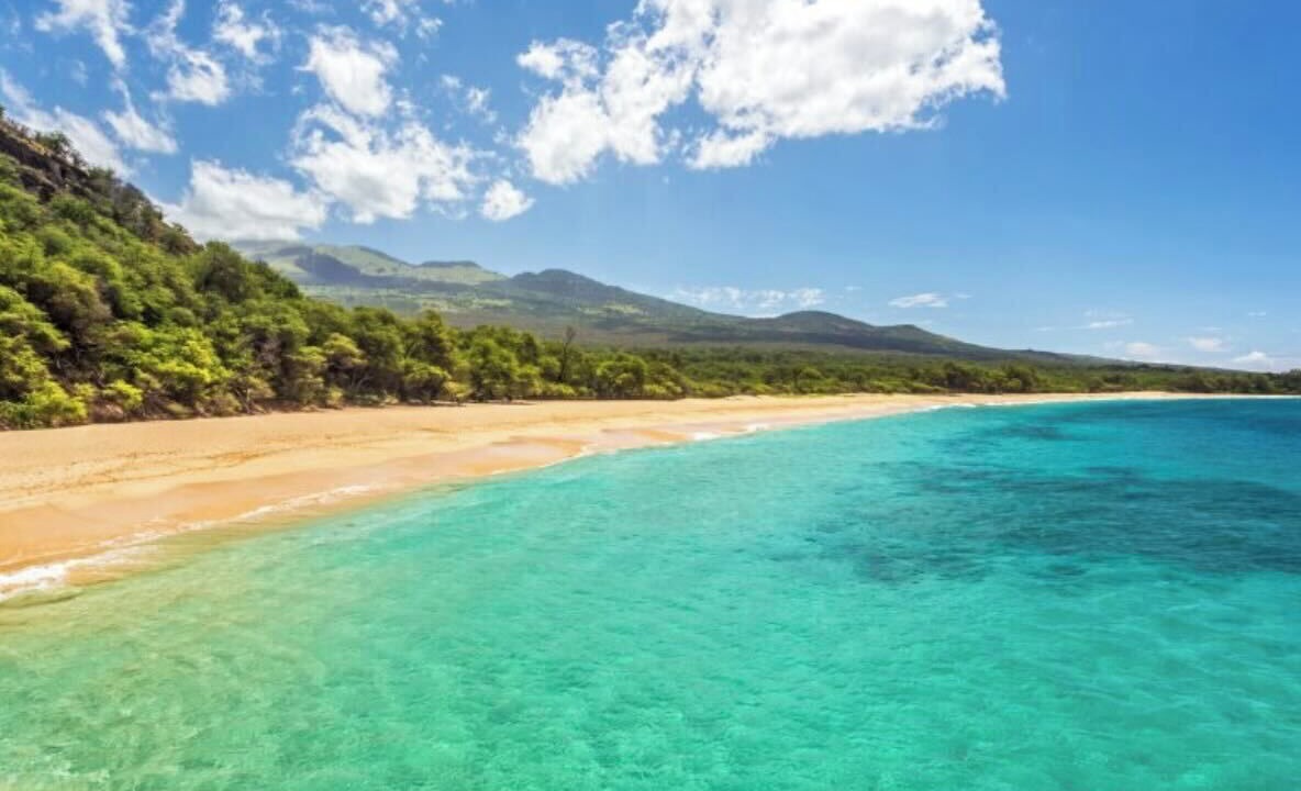 Photo of Others in Pauwela