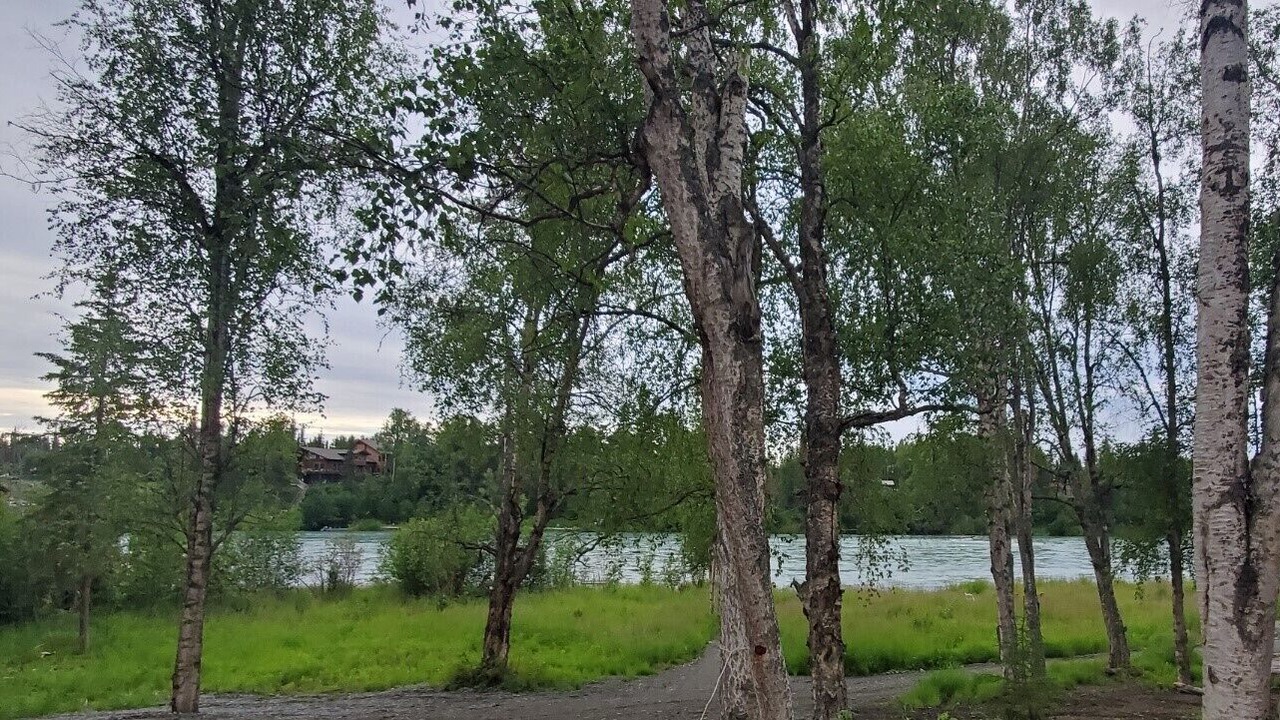 Photo of Outdoor in Funny River