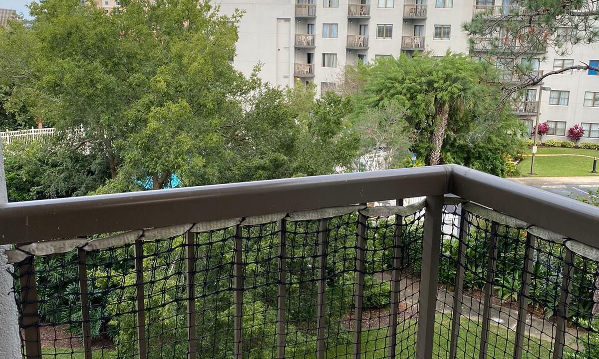 Photo of Outdoor in Southwest Orlando