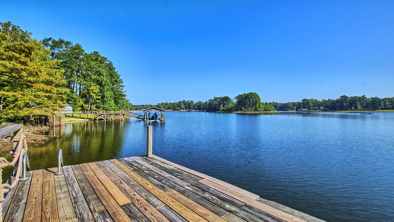Photo of Outdoor in South Toledo Bend