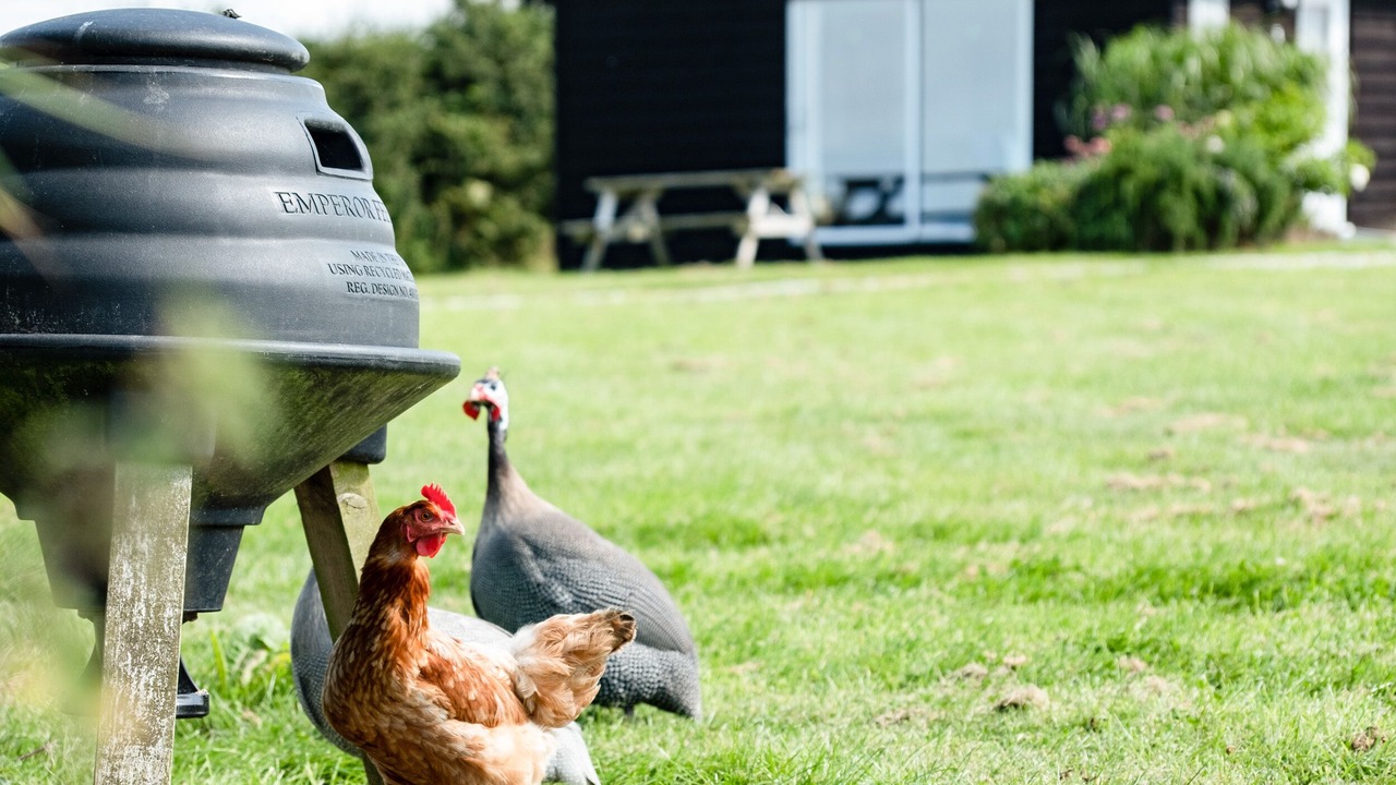 Photo of Outdoor in Port Isaac