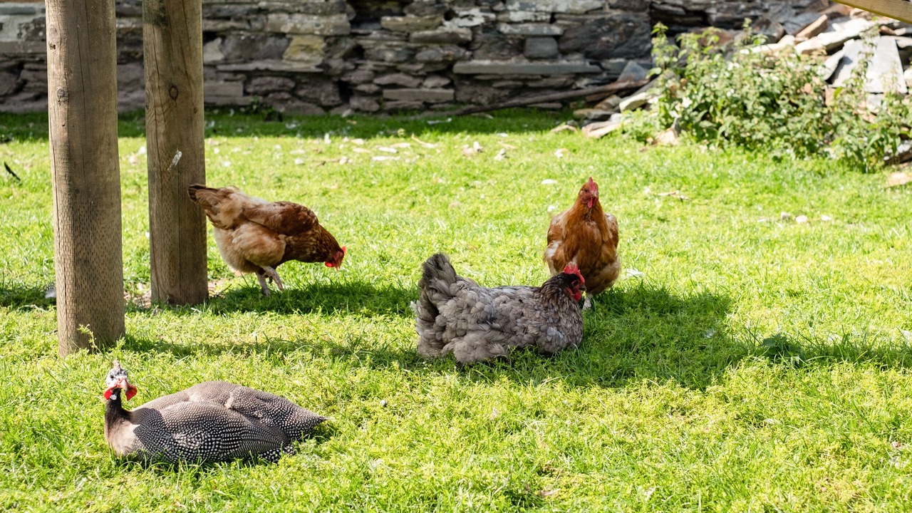 Photo of Outdoor in Port Isaac
