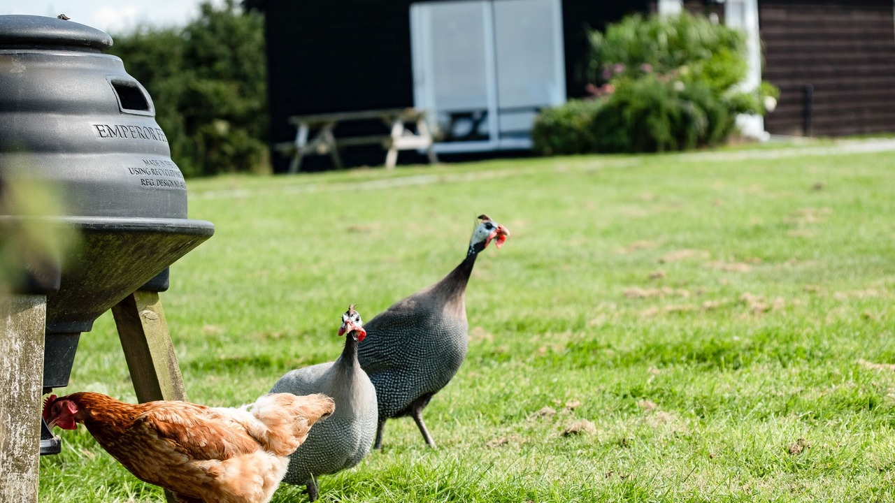 Photo of Outdoor in Port Isaac
