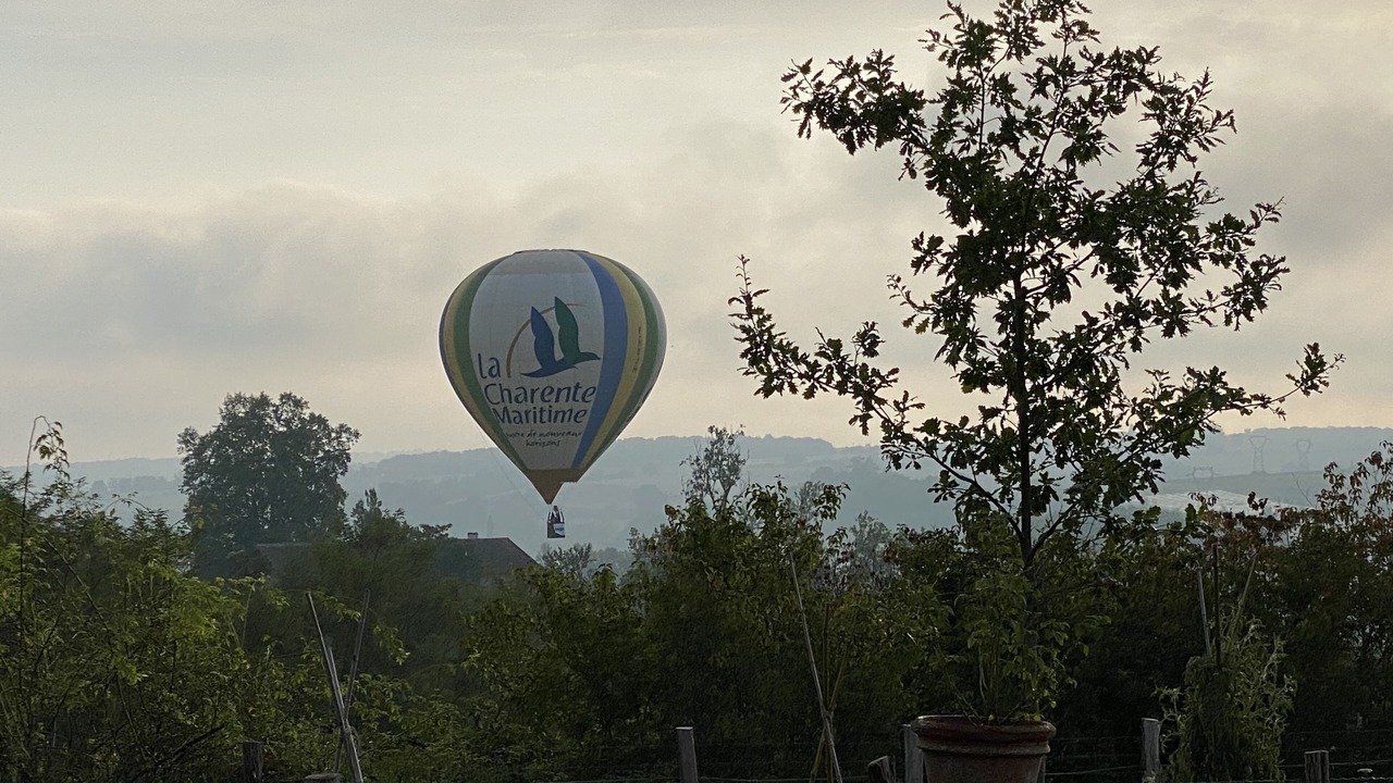 Photo of Others in Castelnau-sur-Gupie