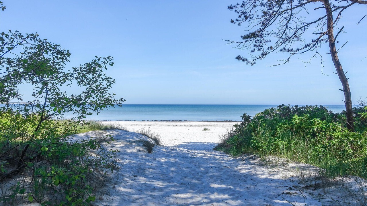 Photo of Others in Balka Strand