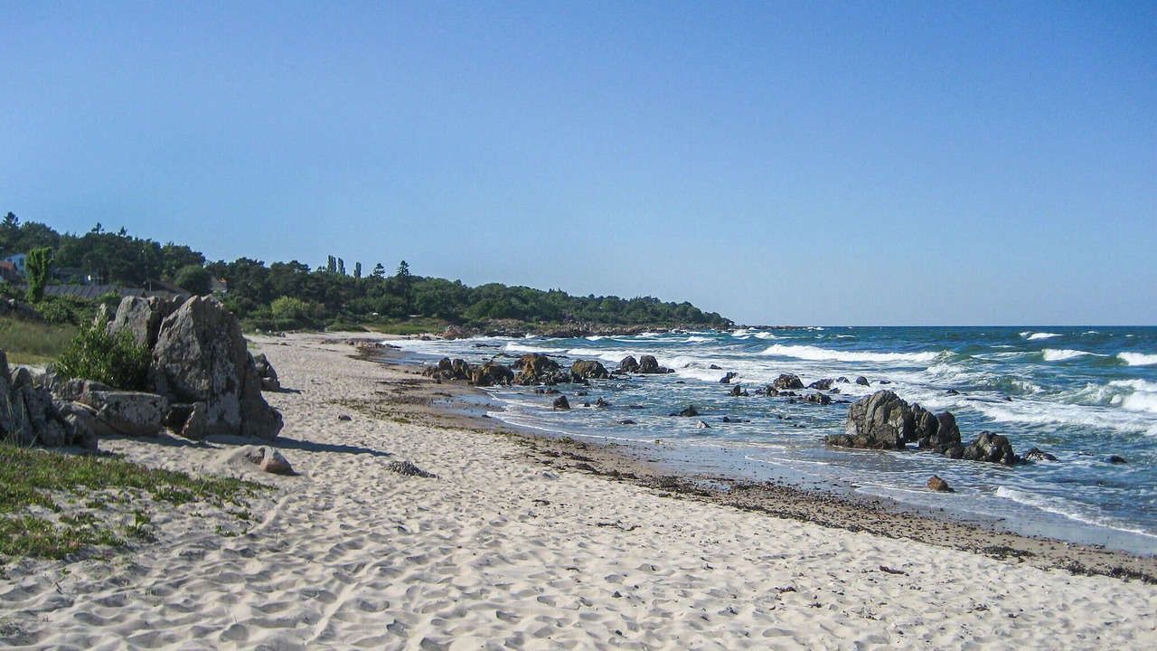 Photo of Others in Sandkaas