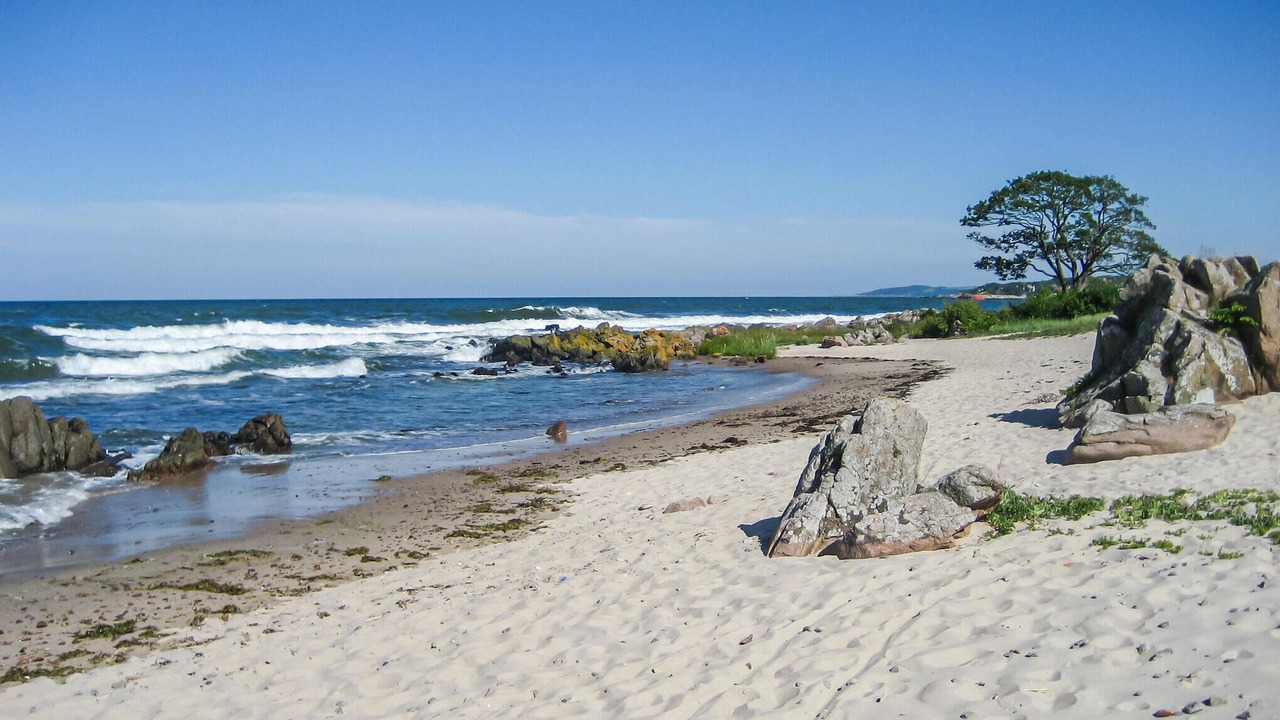 Photo of Others in Sandkaas