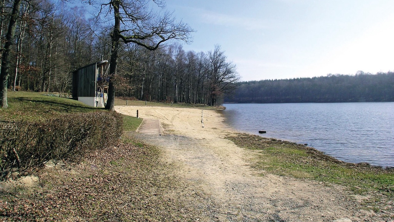 Photo of Others in Dimont