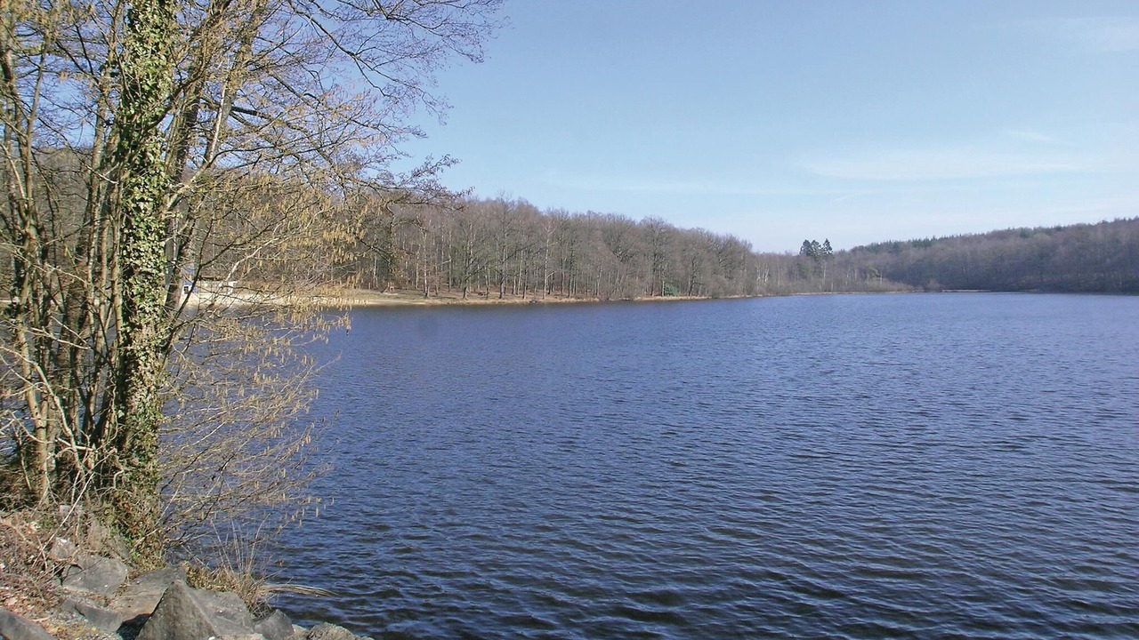 Photo of Others in Dimont