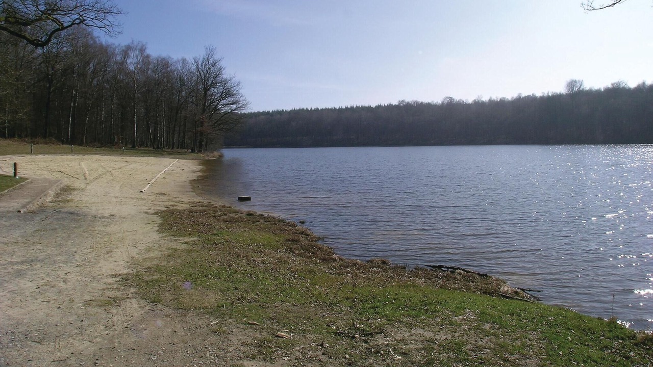 Photo of Others in Dimont
