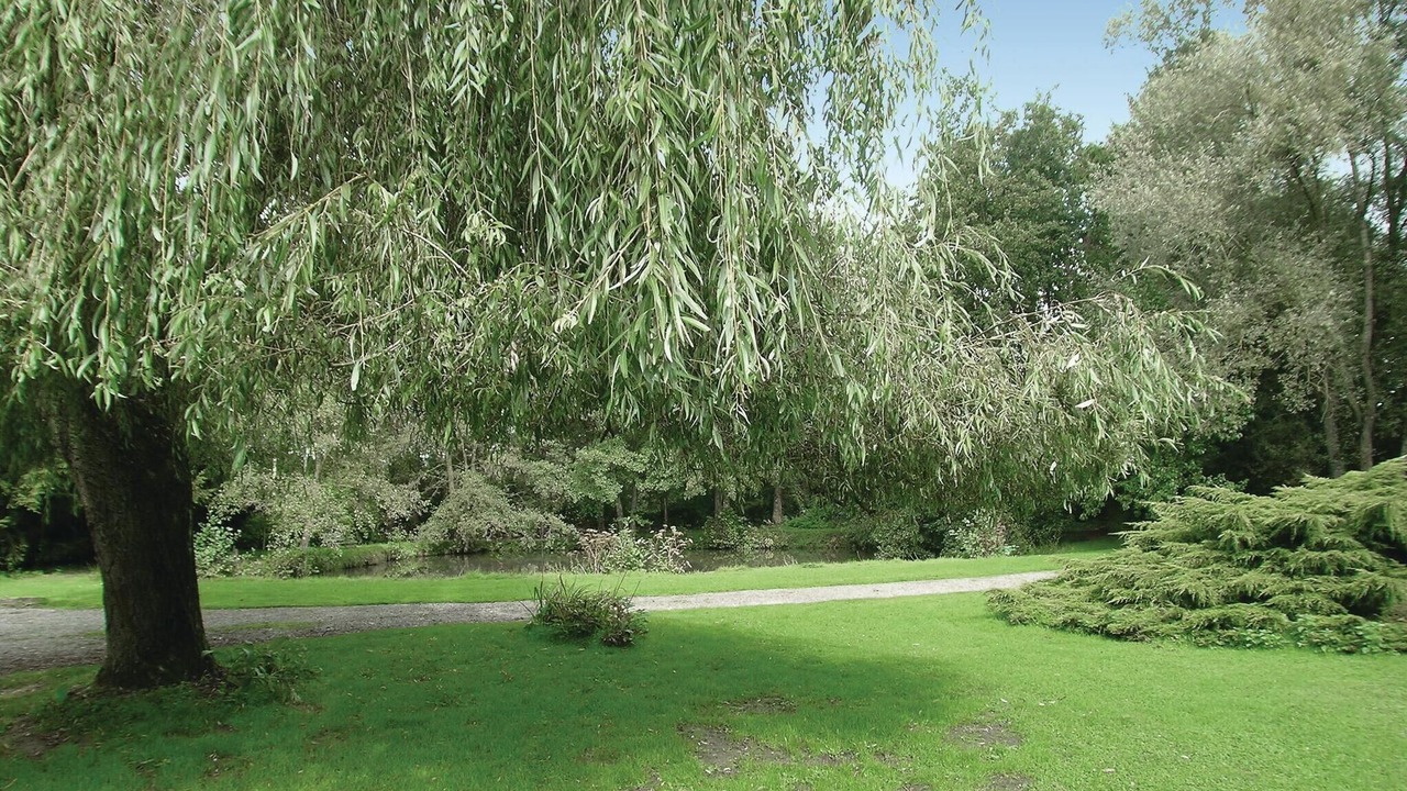 Photo of Others in Dimont
