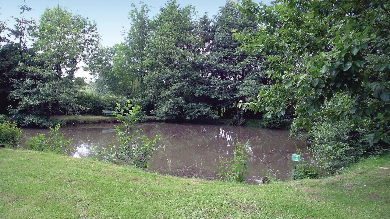 Photo of Others in Dimont