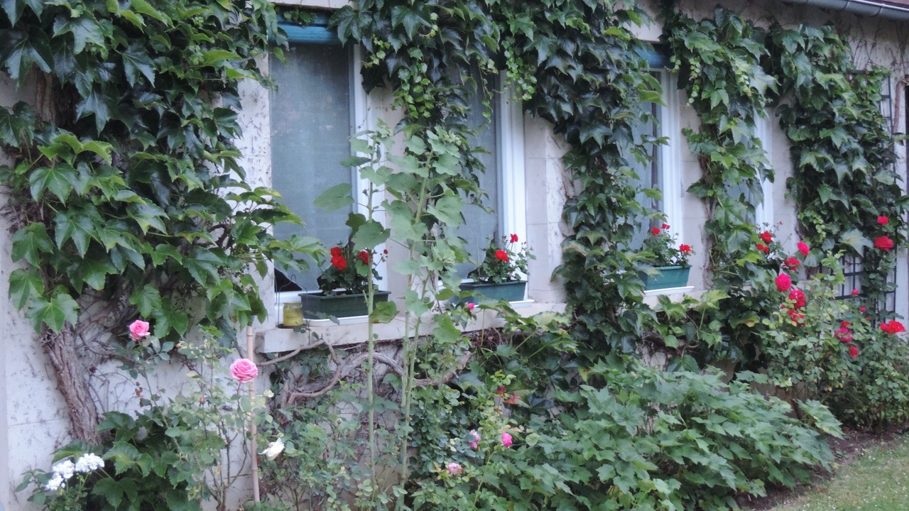Photo of Outdoor in Saint-Jean-aux-Bois