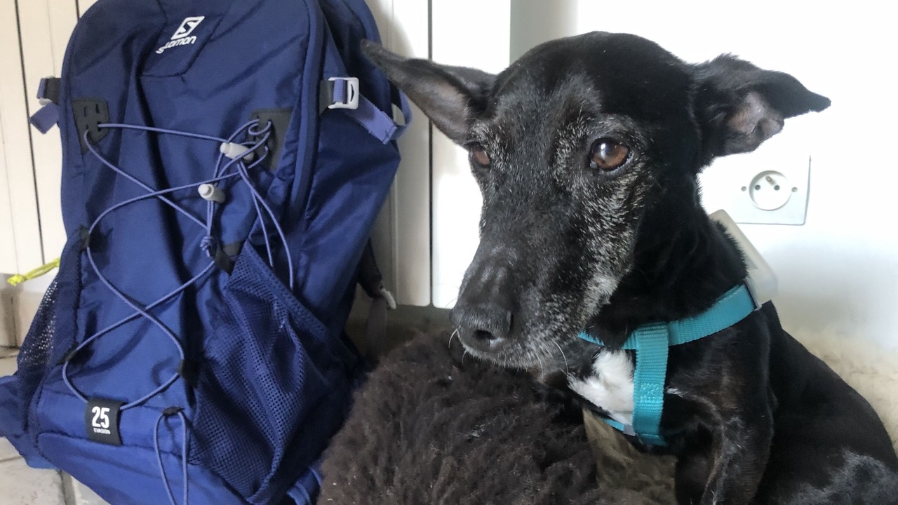 Photo of Others in Gresse-en-Vercors