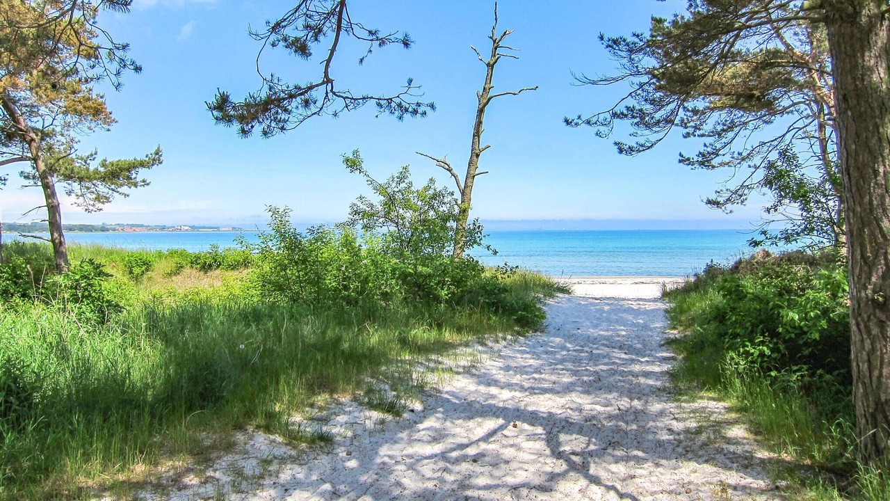 Photo of Others in Balka Strand