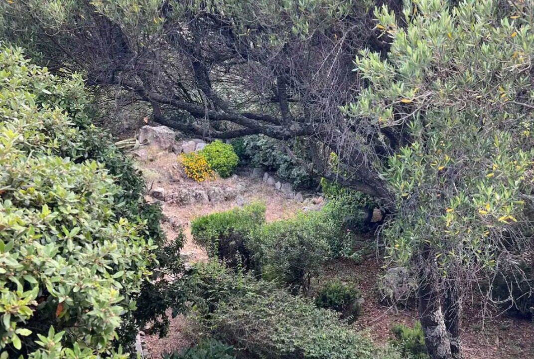 Photo of Others in Cala Rossa