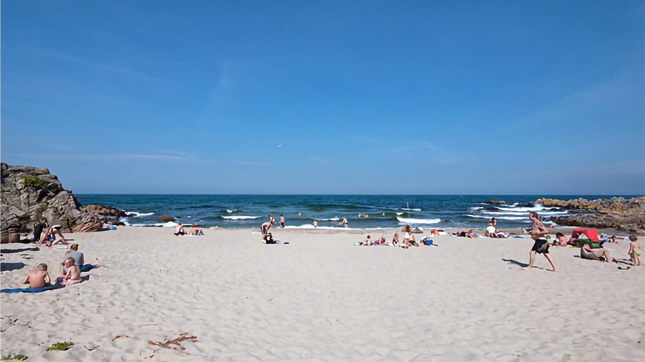 Photo of Others in Sandkaas