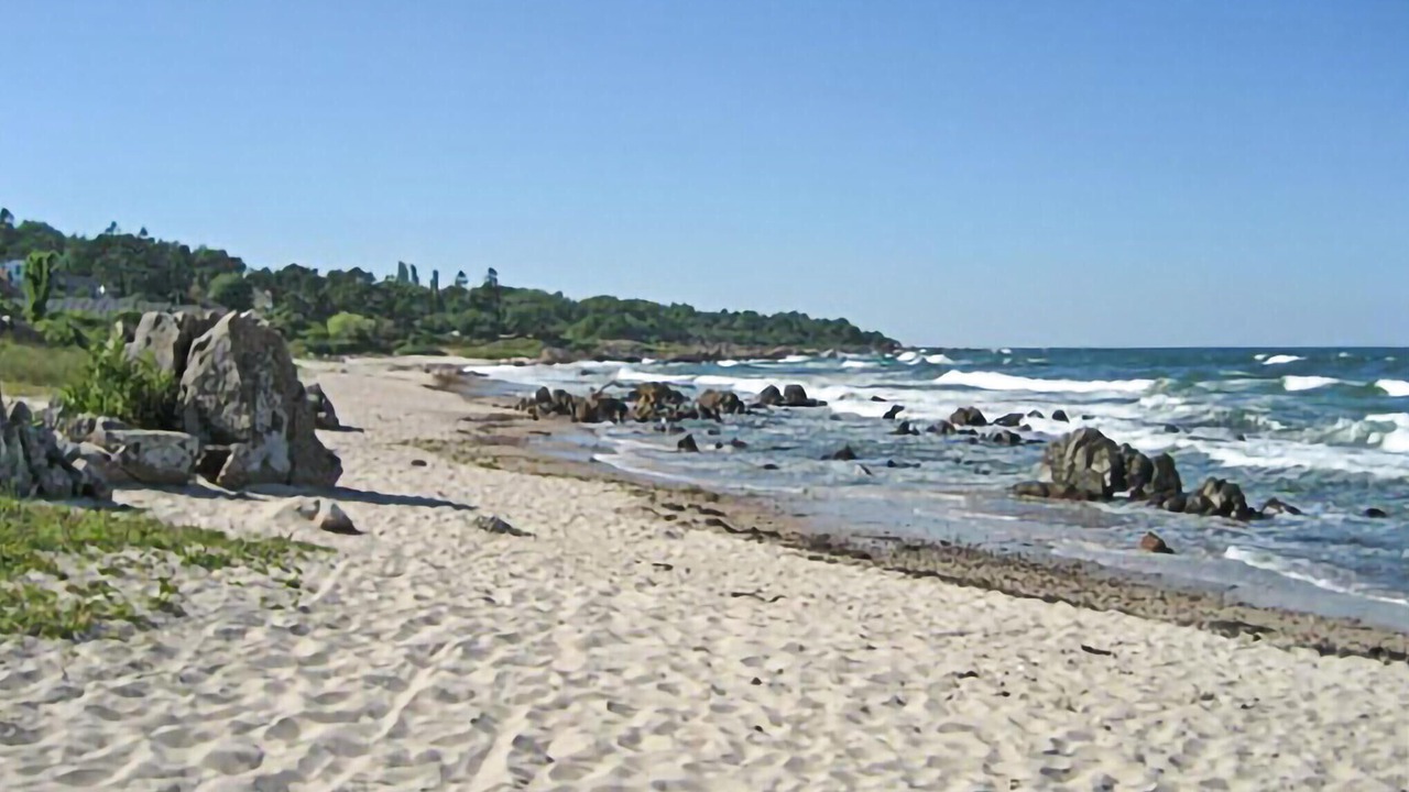 Photo of Others in Sandkaas