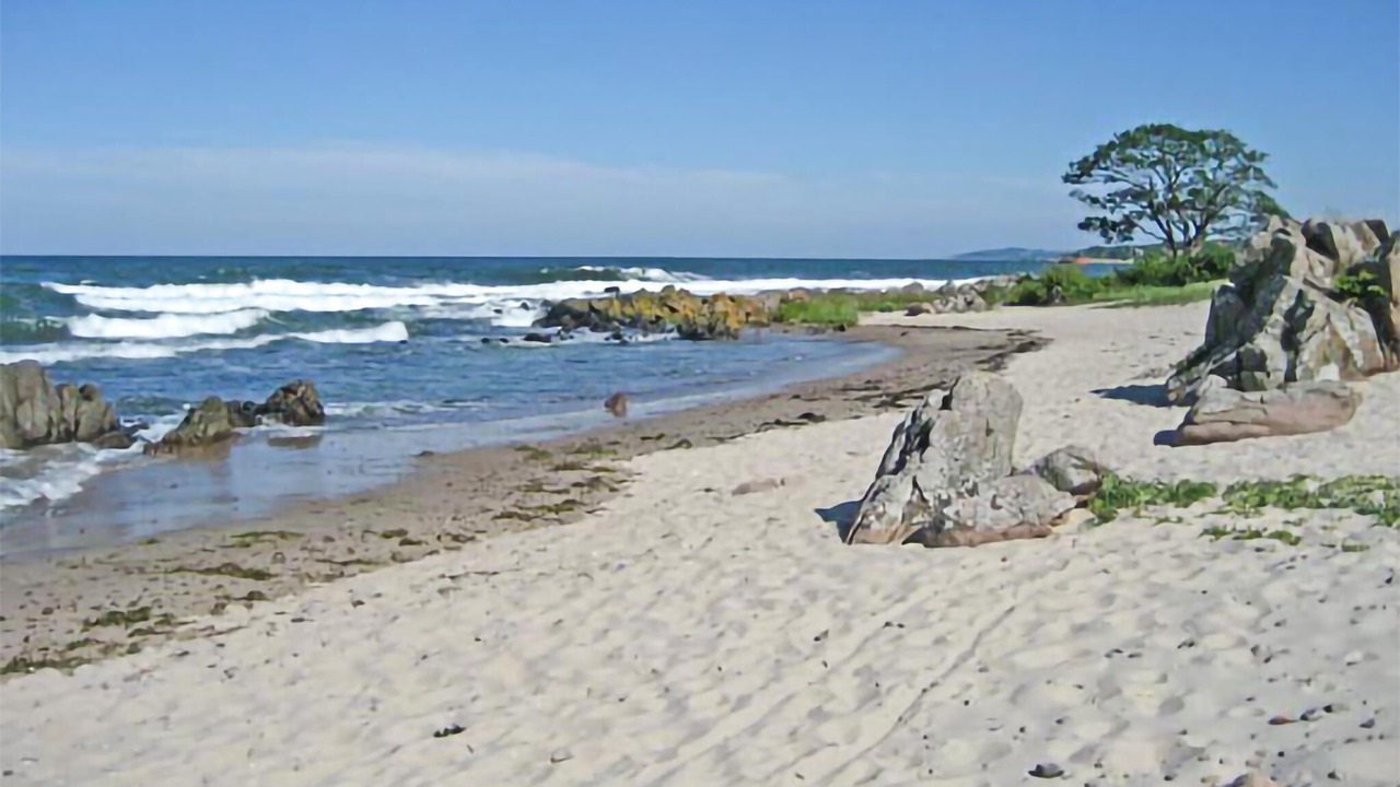 Photo of Others in Sandkaas