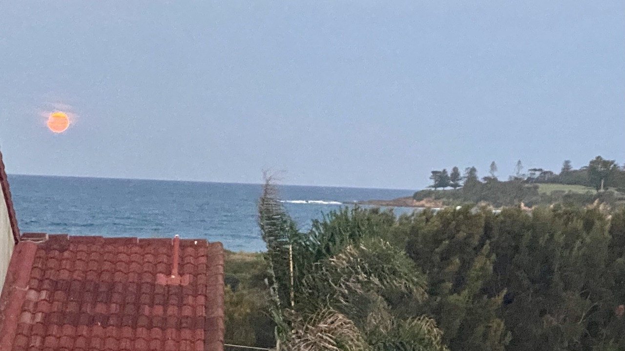 Photo of Others in Bermagui