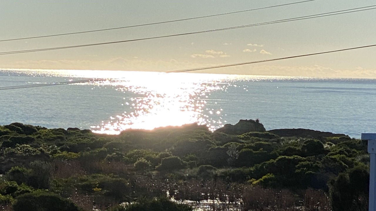 Photo of Others in Bermagui