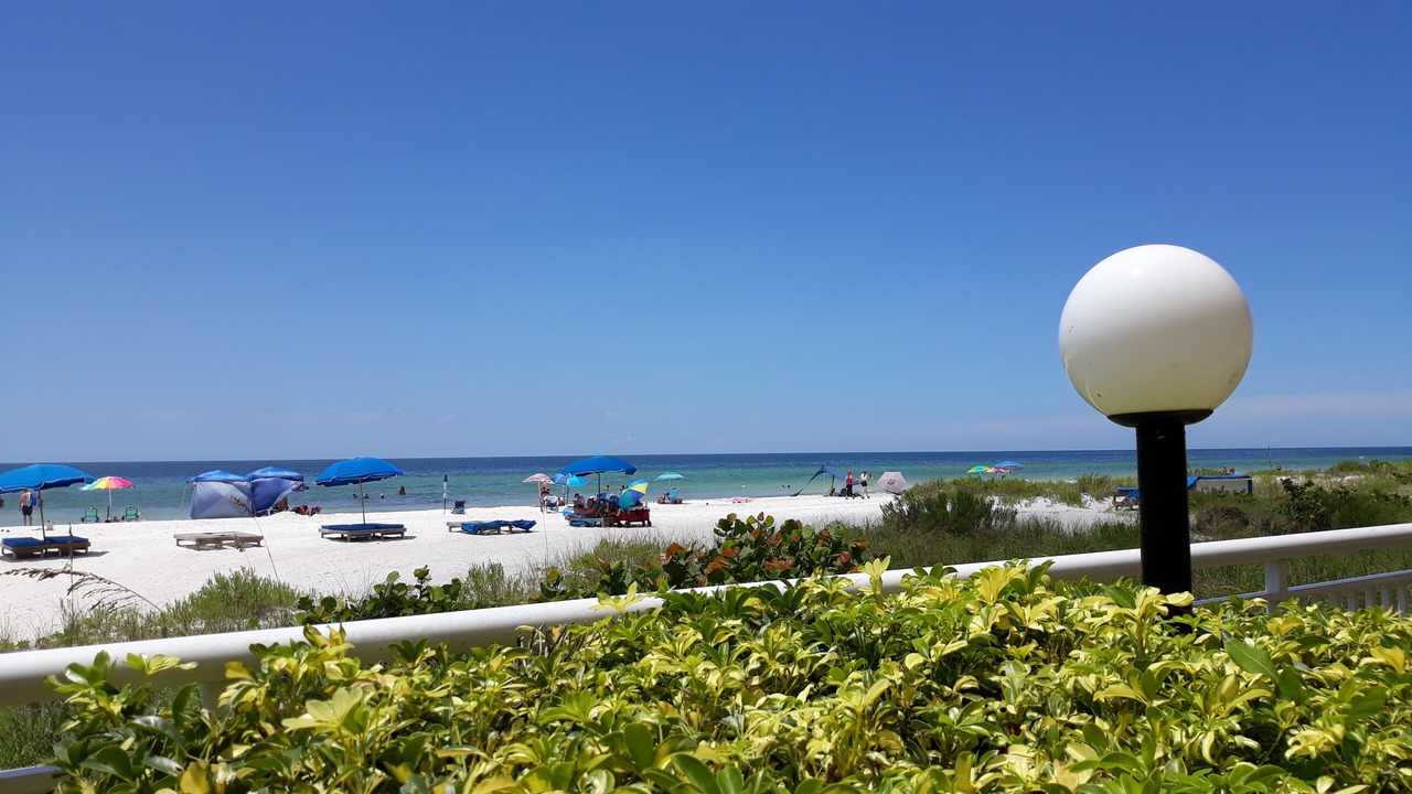 Photo of Outdoor in Indian Shores