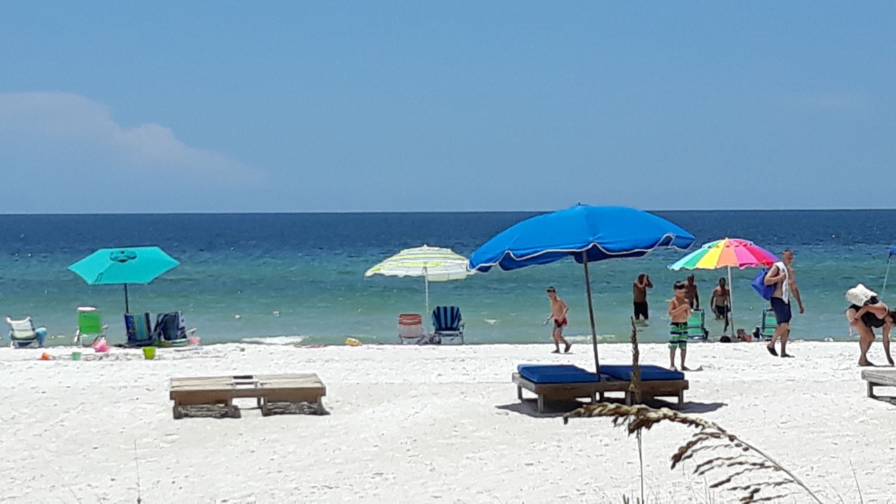 Photo of Others in Indian Shores