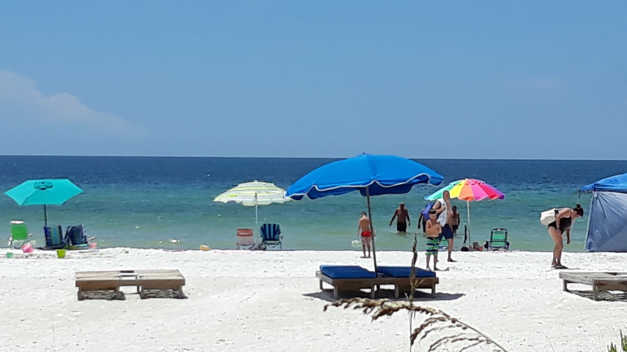 Photo of Others in Indian Shores