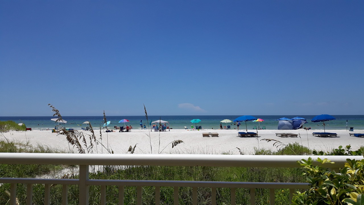 Photo of Others in Indian Shores