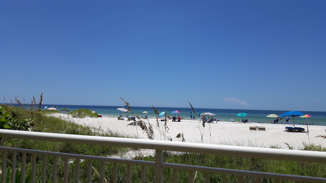 Photo of Others in Indian Shores