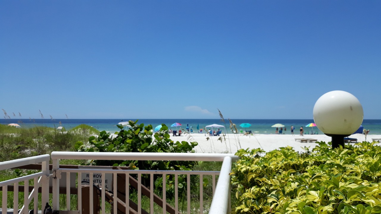 Photo of Others in Indian Shores