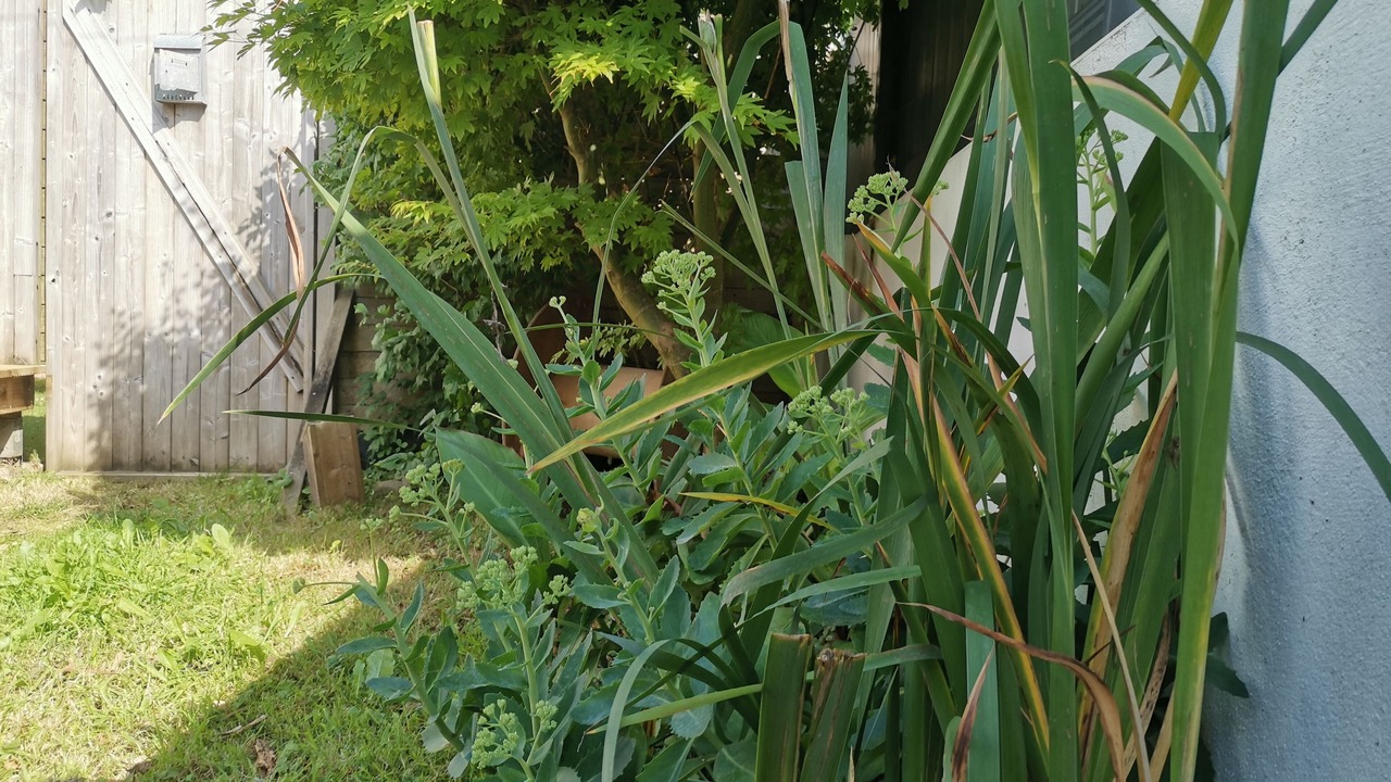 Photo of Outdoor in Saint-Marc