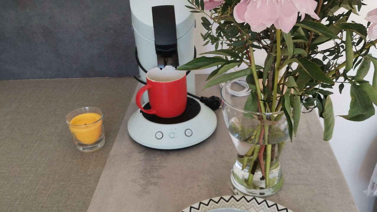 Photo of Others in Saint-Marc