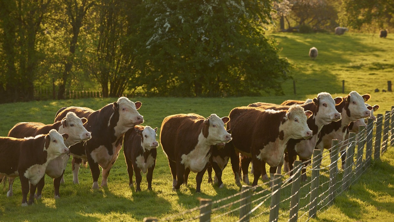 Photo of Others in Little Marcle