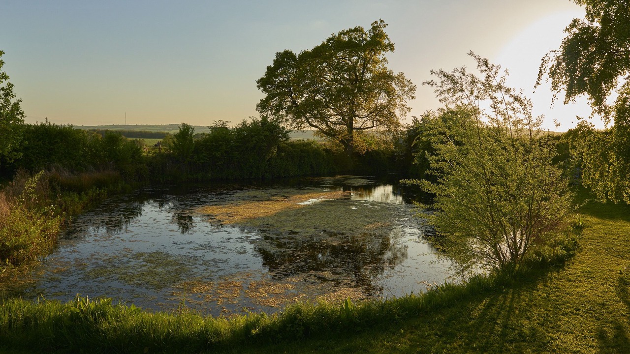 Photo of Outdoor in Little Marcle