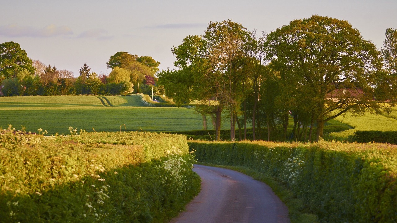 Photo of Others in Little Marcle