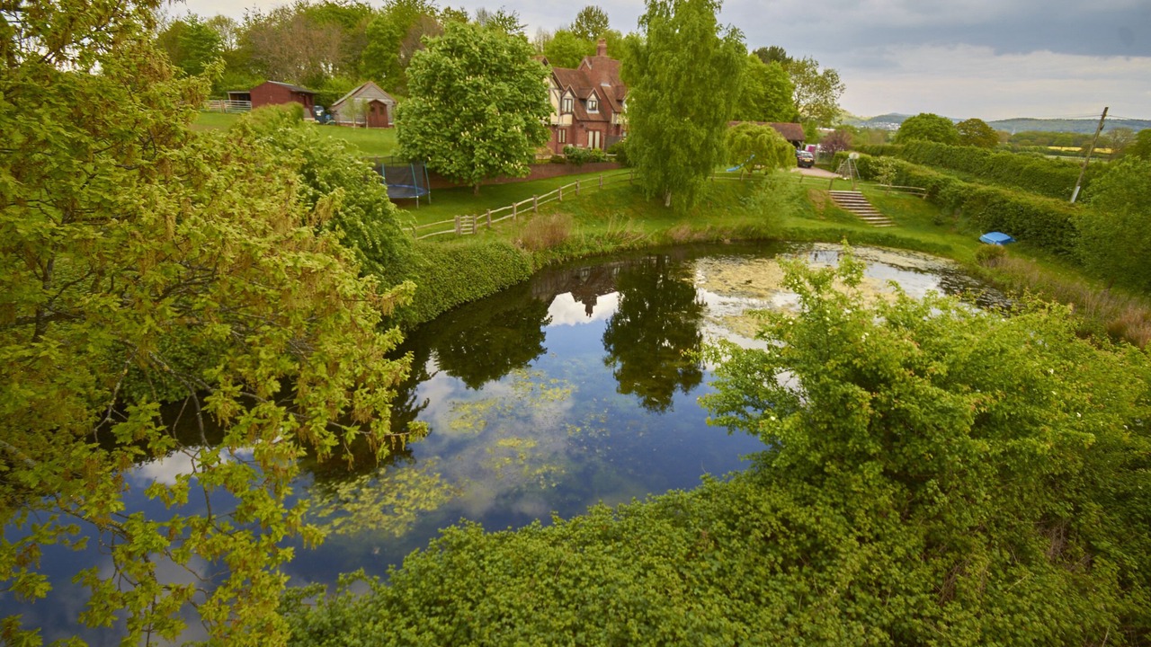 Photo of Outdoor in Little Marcle