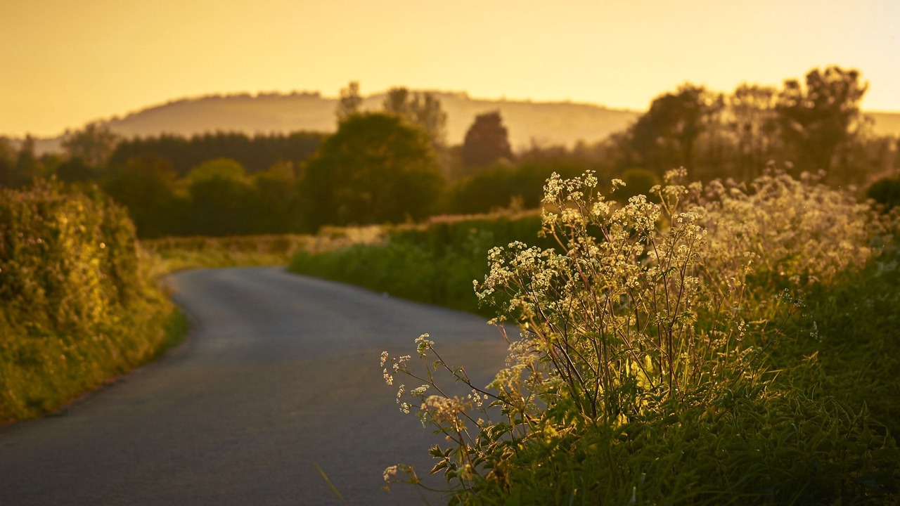 Photo of Outdoor in Little Marcle