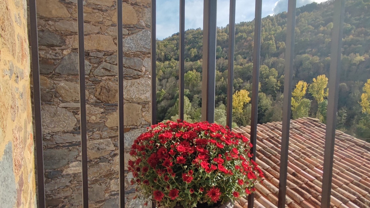 Photo of Outdoor in Vilallonga de Ter