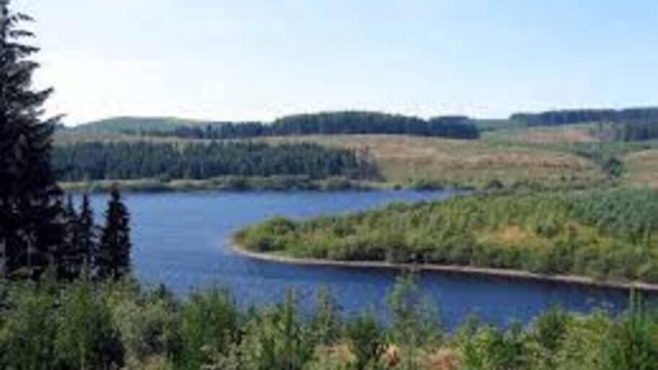 Photo of Others in Cwmtirmynach