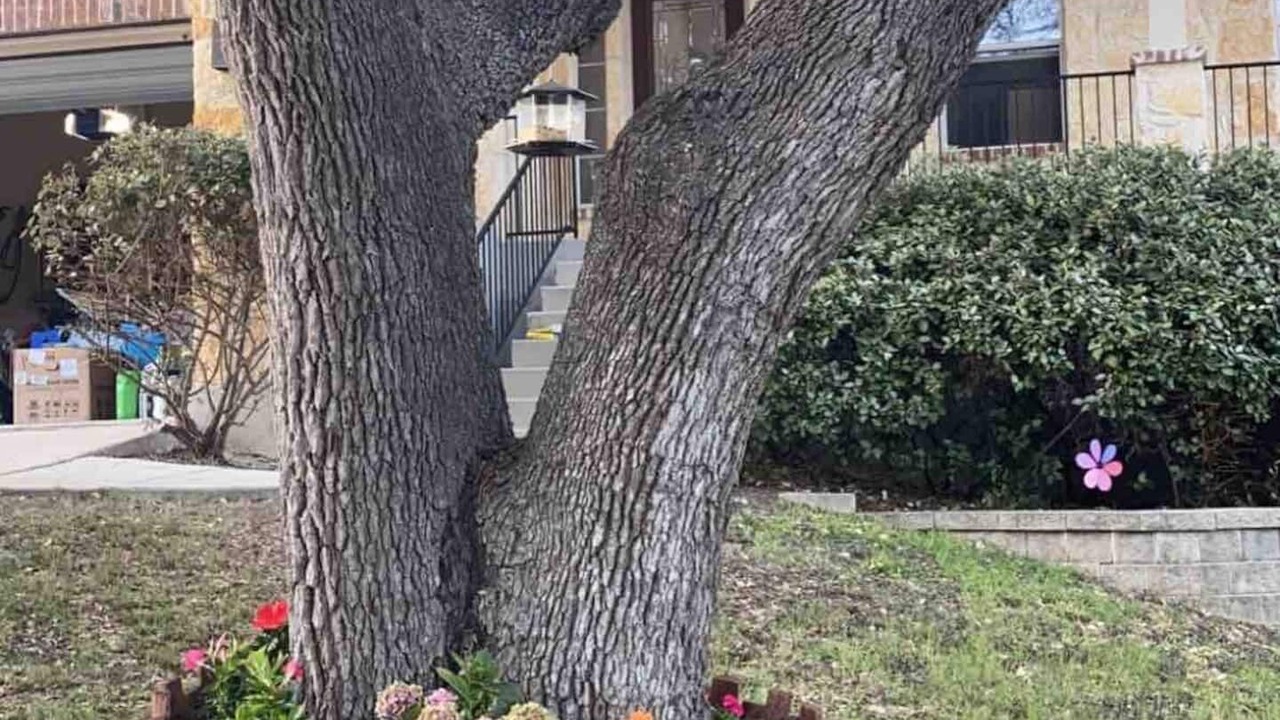 Photo of Outdoor in San Antonio